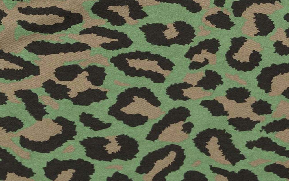 DPM: Leopard