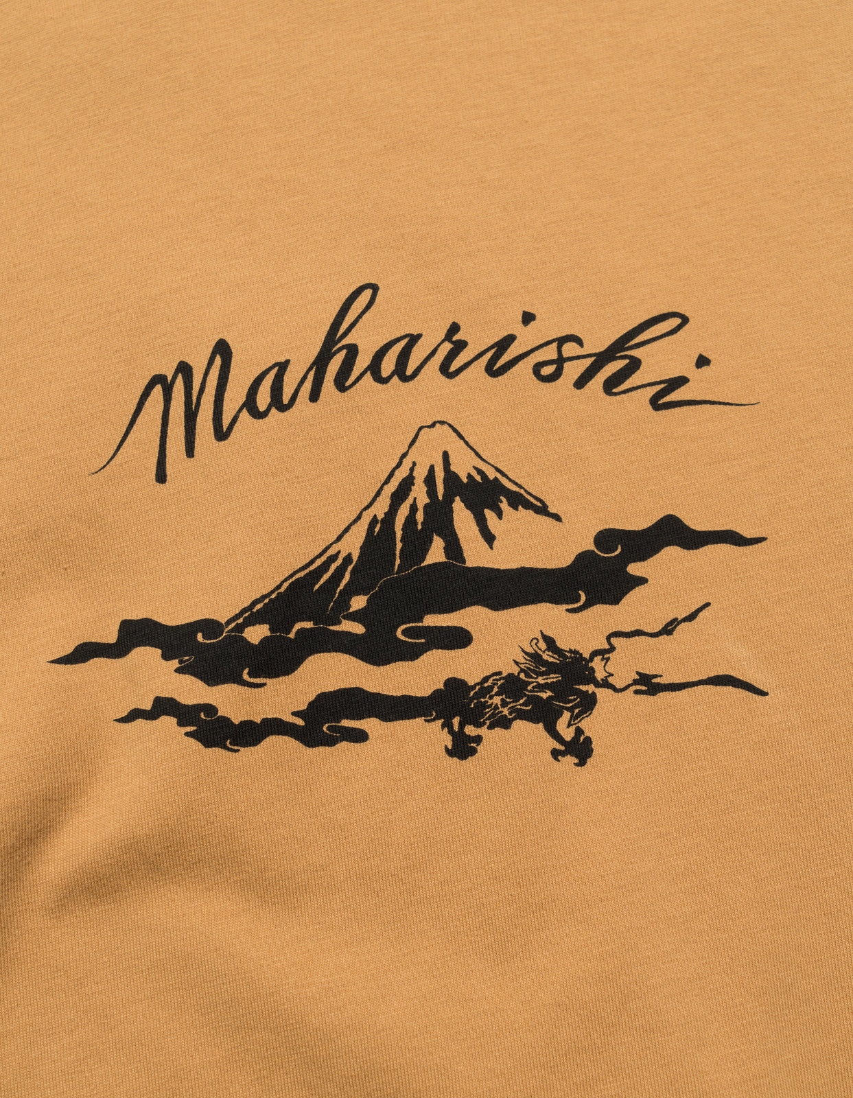 1379 Mount Fuji T-Shirt Coyote