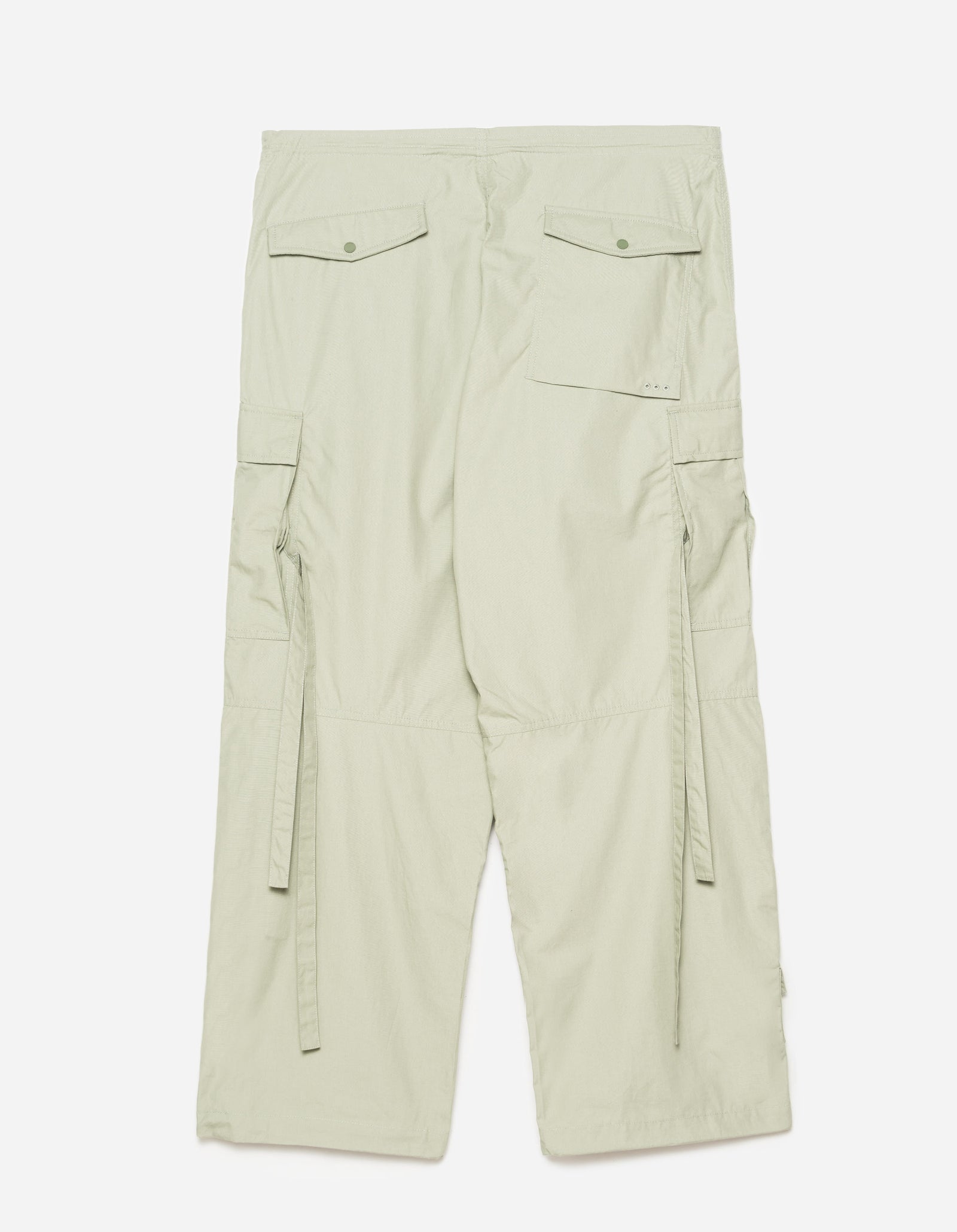 5300 Original Cargo Snopants Loose Sage