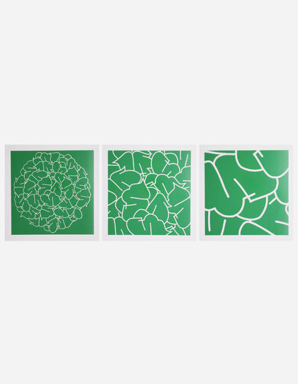 Teach YE-93, 94 & 95 Triptych Green